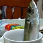 Bunsuke さんのプロフィール写真