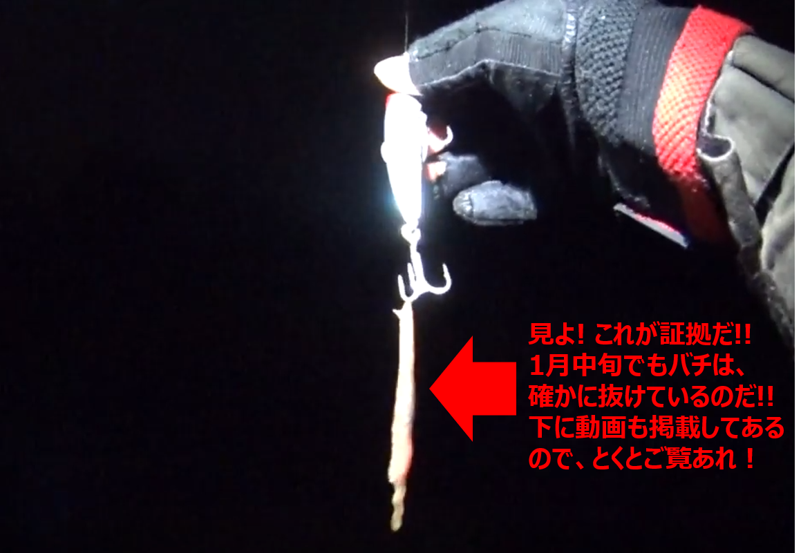 Truth21 大スクープ 見えないバチ抜け バチ抜け超初期の攻略方法 Golyokoシーバスランド Truth21 大スクープ 見えないバチ抜け バチ抜け超初期の攻略方法 Golyokoシーバスランド